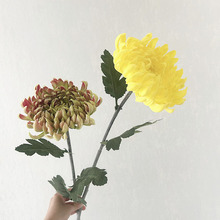 �߷��� �ջ� ĵ���մ��PU�ٻ� ��֧�����͏d�����쾰�Ĕz�زĻ�