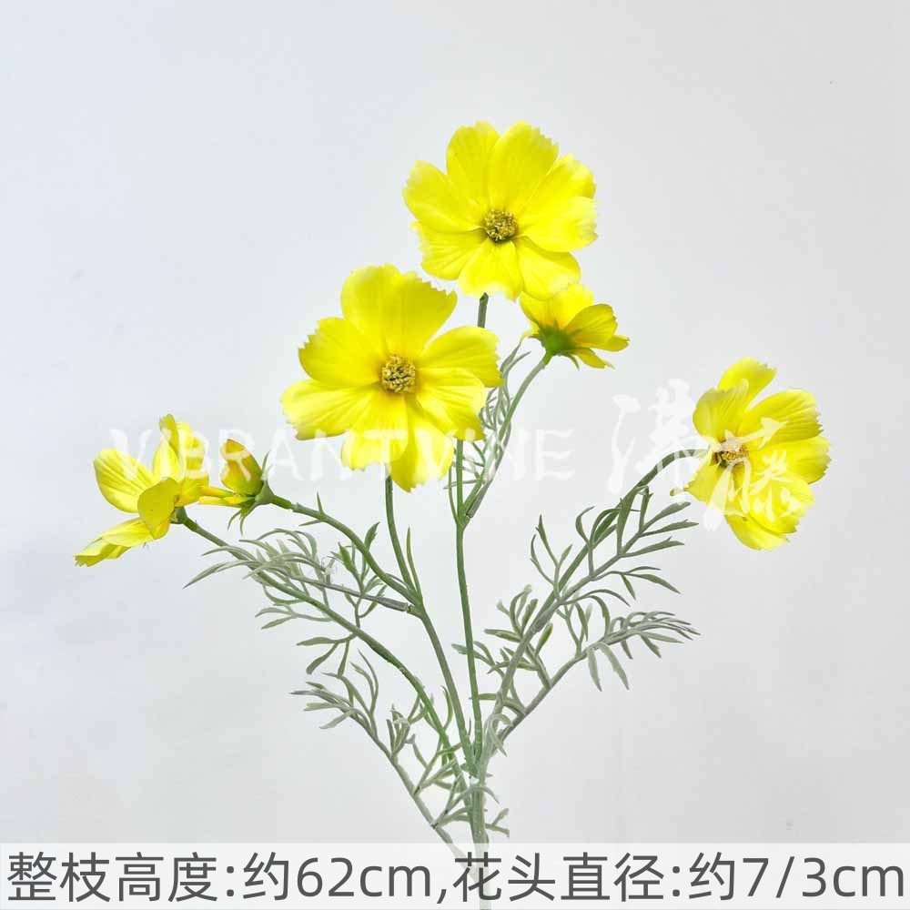 Yellow princess chrysanthemum