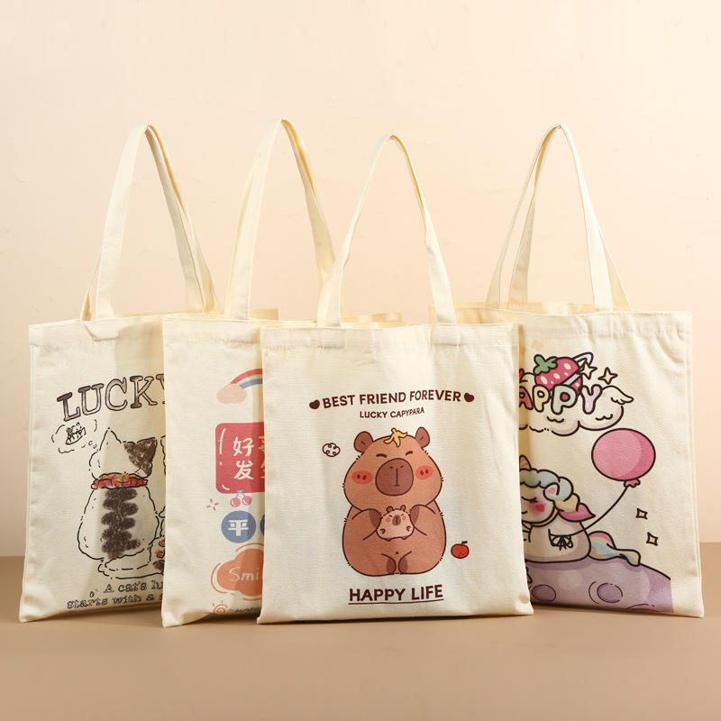 Bolsa de lona portátil personalizada ins Sensación avanzada Bolsa de lona en blanco de un solo hombro Escuela intensiva Impresión de logotipo publicitario