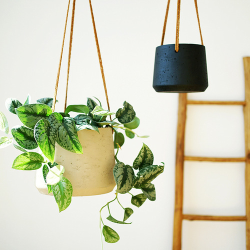 Nordic wall hanging cement hanging flower pot hanging plant hanging basket wall hanging basin hanging balcony spider orchid potted plant