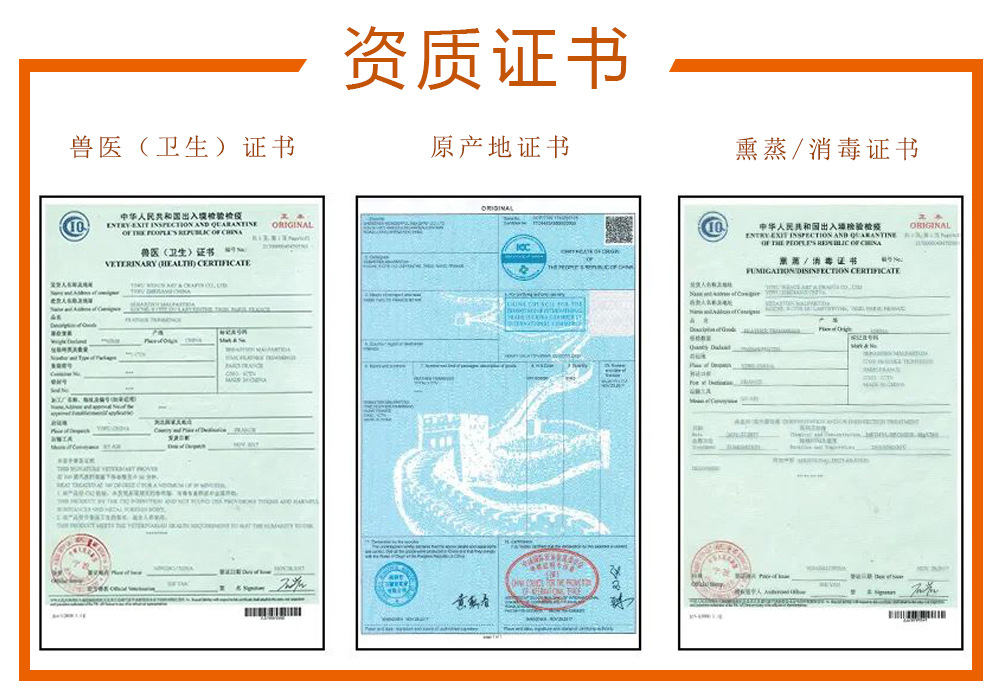 资质证书