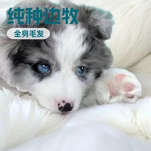 ����߅������Ȯ��Ȯ���w���ﹷ������߅���o�lȮ�pɫ��ɫ߅������