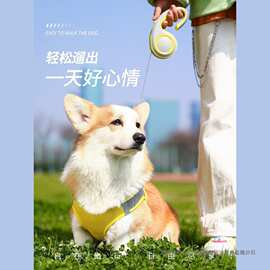 狗狗牵引绳自动伸缩中小型犬泰迪比熊柯基外出狗绳遛狗链子牵狗绳