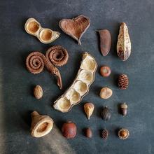 Mعֲ˱ɹɻdiyϰ~쾰[