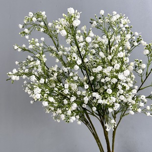 С���S�ҝM�������l���滨�ٻ����Q�廨�Ҿ��b�c����������