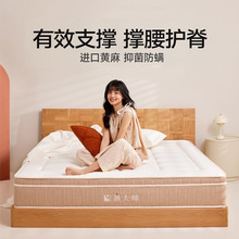 麻师傅豆芽黄麻护脊腰双人硬垫乳胶弹簧记忆棉席梦思厚床垫子家用