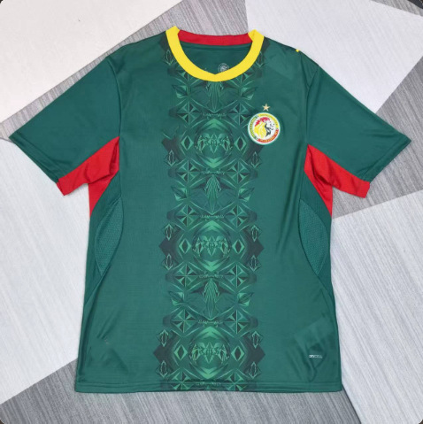 2627 Camiseta de fútbol de la Copa del Mundo Argentina Brasil Francia España Noruega Inglaterra camiseta de mangas cortas image 45