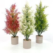 仿真圣诞小松柏树桌面客厅盆栽摆件真绿植假花植物小树盆景