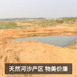 天然河沙砂沙子沙土土壤种植实验填充鱼缸粗沙细沙黄沙黄砂营养土