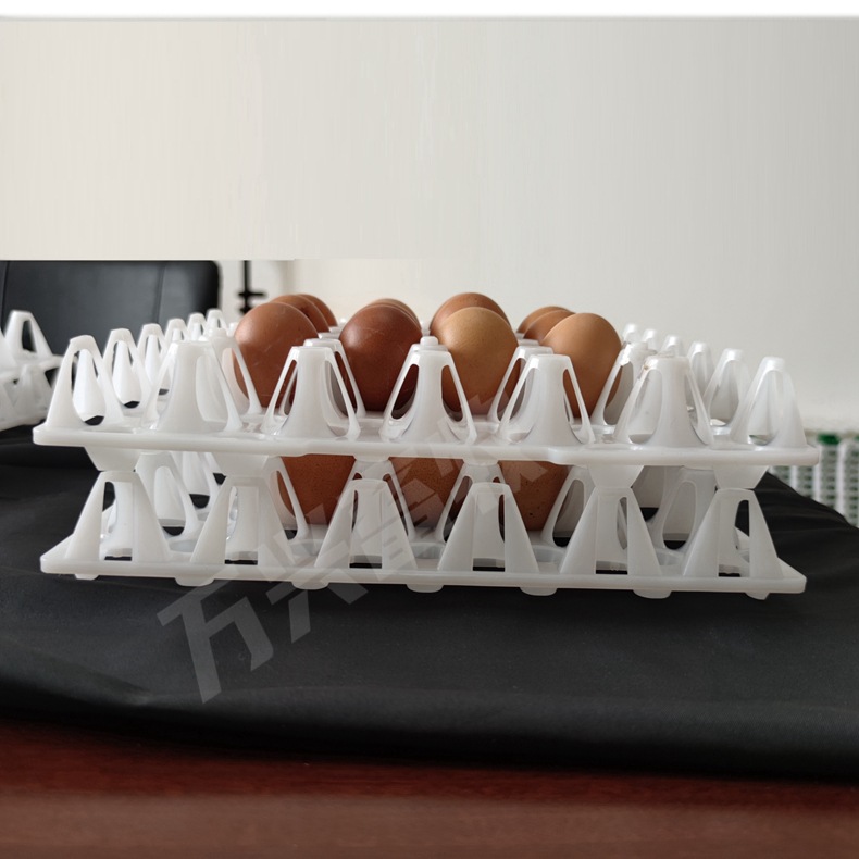 新款种鸡蛋托、种鸭蛋托厂家直销蛋托型号图片蛋盘源头厂家