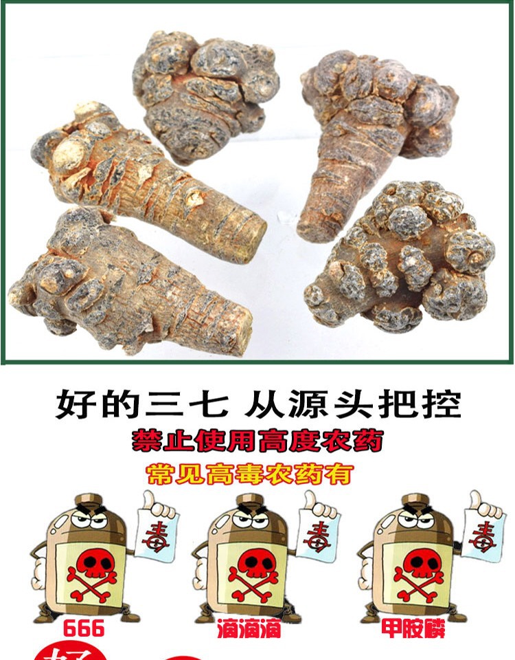 San Qi Notoginseng Root Tian Qi Dried Whole Roots Wenshan Panax notoginseng for Decoction and Powder specifications