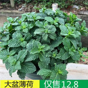 �������Կ�ʳ���Ե������؈�����~ţ�����{�ϾGֲ���҃���Ù���