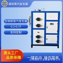 0.3吨全自动生物质蒸汽发生器 食品蒸煮杀菌蒸汽锅炉