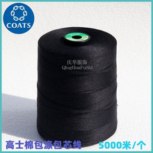 ��ʿ5000���ް����о��EV25 036�¿�ߏ����L�z��]�p�x�����