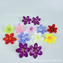 �����m���^�����^���������������Y�����ֹ����h�ػ���[�P��