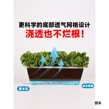 �¿����ϻ�������̨�N�����߲˷Nֲ����ݮ���Ԍ������L�����L