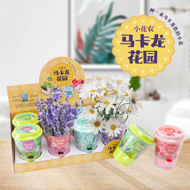 마카롱 (단일 상자 가격)