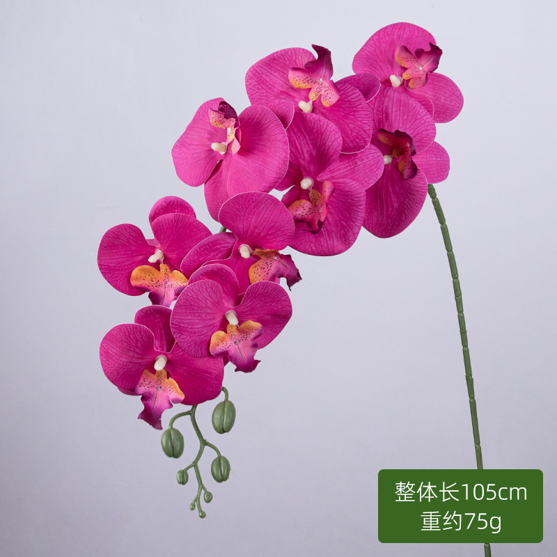 9 orquídeas de mariposa (rosas)