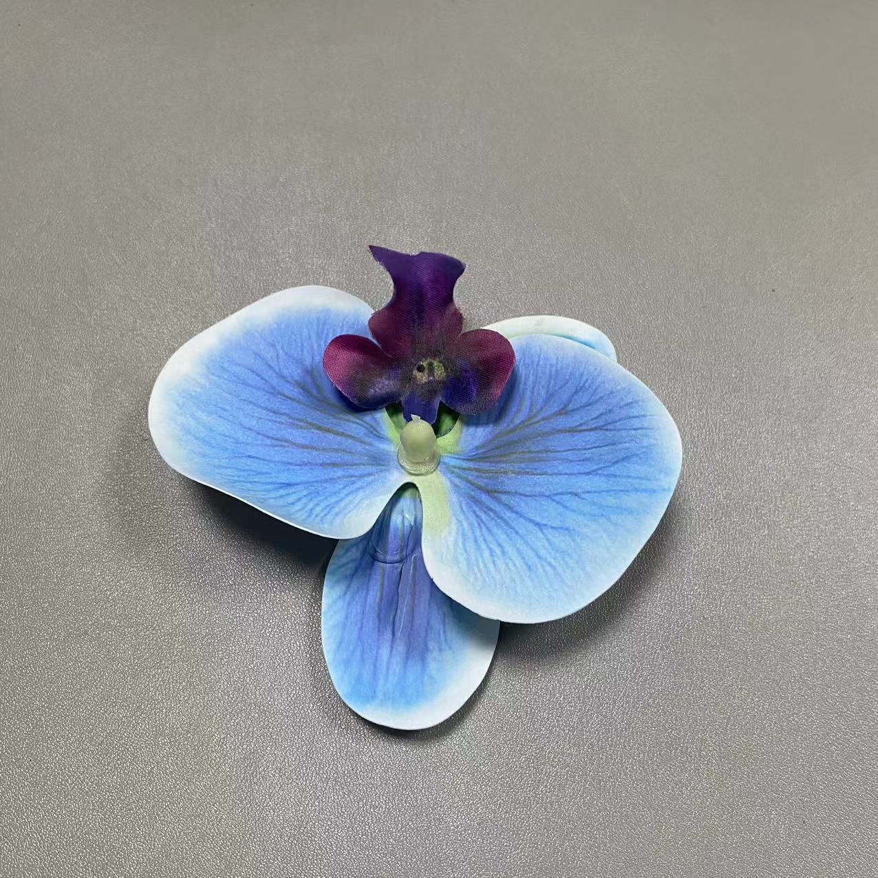 5호