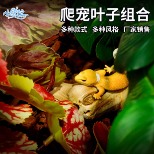 ��������������쾰�b���ֲ�����x�������ϾGֲ�������쾰�[��