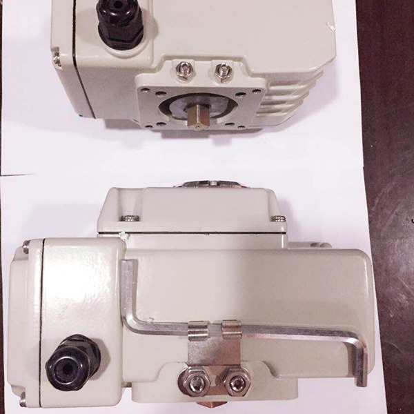 精小型电动执行器DCL-100 DCL-60 DCL-200