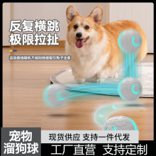 智能狗狗玩具球遛狗猫自嗨解闷神器宠物耐咬逗狗防拆家电动跳跳球