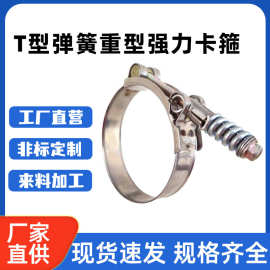 304不锈钢T型强力卡箍 欧式不锈钢弹簧喉箍 汽车紧固管夹抱箍批发