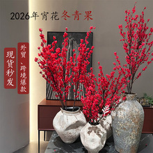 2026��������������滨 ����ҾӼt���ӻ�c��Y�������l����