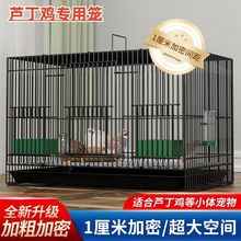 �J���u�\�����r�u�\С�u�\�����g���\С�S���\� ����\���܌����l