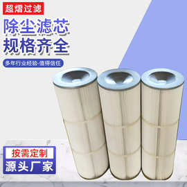 除尘滤芯批发工业集尘器粉末回收滤筒喷涂防静电阻燃除尘滤芯厂家