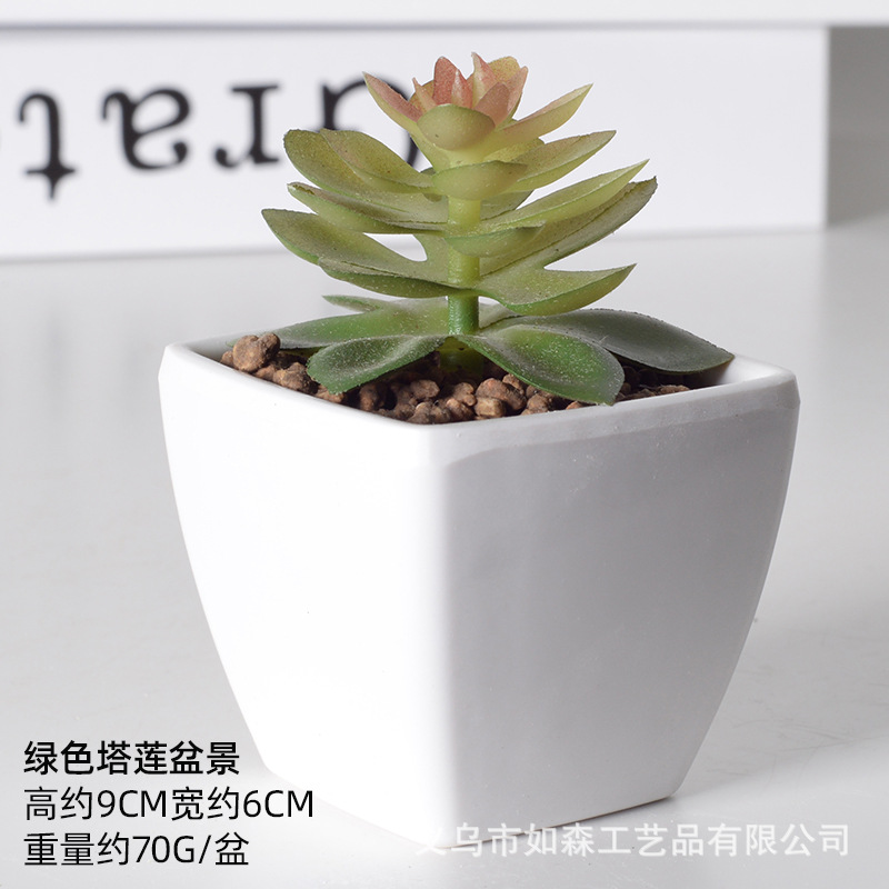 Simulación de plástico carnoso bonsai flor falsa combinación oficina interior escritorio plantas verdes pequeños adornos plantas artificiales al por mayor image 25