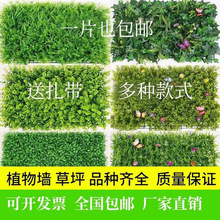 ��������Gֲֲ����m�b�Ƥ�ȼ�����ƺ�T�^�ڒ챳������ٻ�