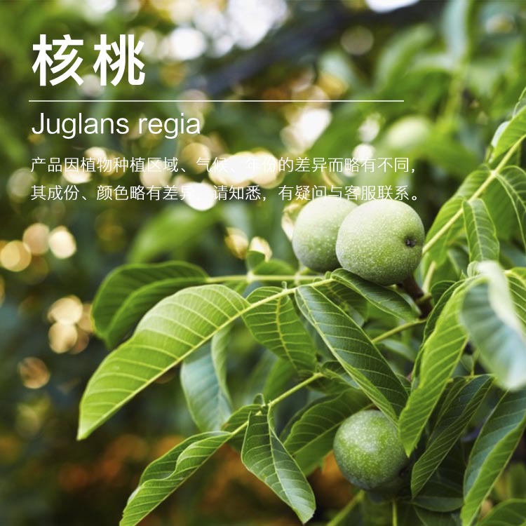 ���ҹ�Ӧ������ ��ե������ �����ͳ������� ��ӭ��ѯ�ɹ�