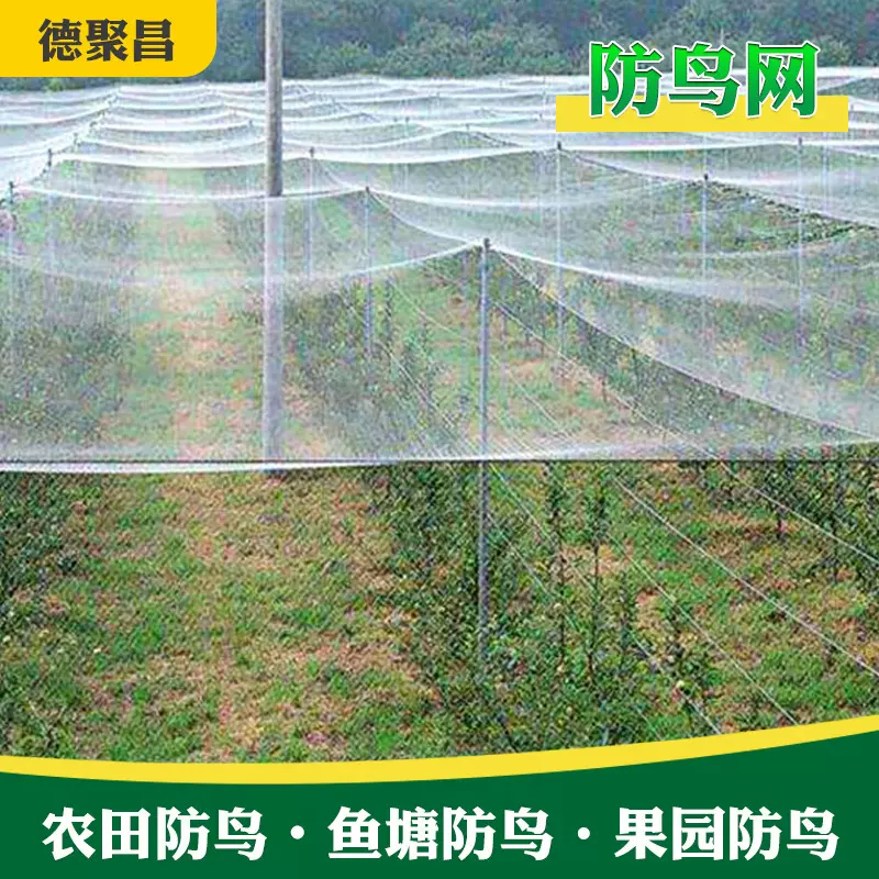 尼龙樱桃防鸟网鱼塘养殖网格天网大棚防护网拦鸟网果树网罩防风