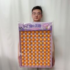 インターネット有名人の減圧サプライズ楽しいゴールデンエッグおもちゃ 1*80 教育機関ポイント引き換えおもちゃギフト卸売