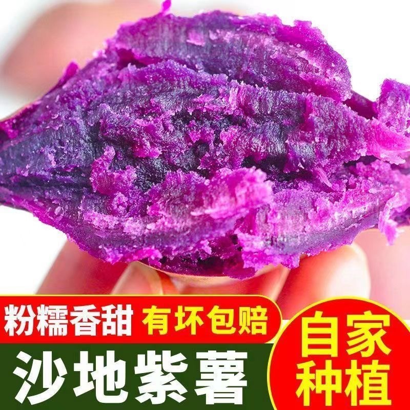 正宗沙地紫薯批发新鲜紫罗兰紫薯粉糯香甜代餐粗粮蔬菜紫番薯地瓜