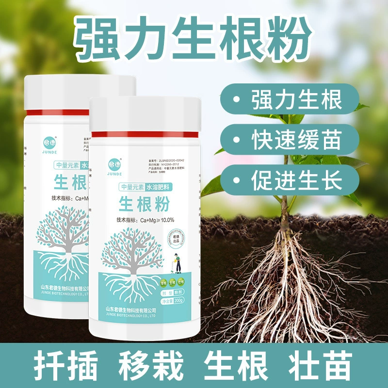 Поднятие рассады Джунде, срезка, пересадка, средство для укоренения, сильный эффект и порошок для быстрого укоренения, сильная рассада, защита от пятки, предотвращение преждевременных волос и корней смерти