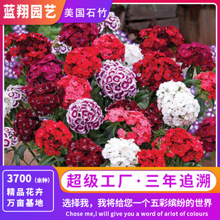 �ļ�ͨ���¿�N���ļ��ɲ�����ʯ�����Ի��N�����lʯ��÷�N��