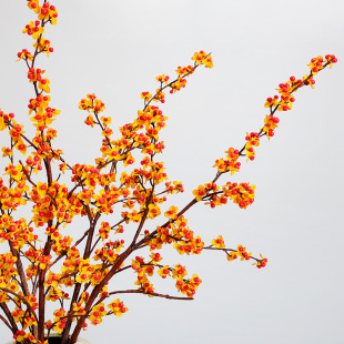 ���滨�W�t��������С�t��֦���޾Ƶ�e���Ӱ��g������ˇ�ɻ��b�