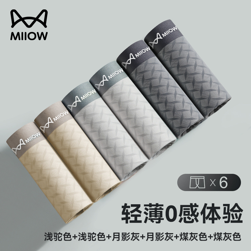 [메인 사진 자카드 스타일] 6조합 E