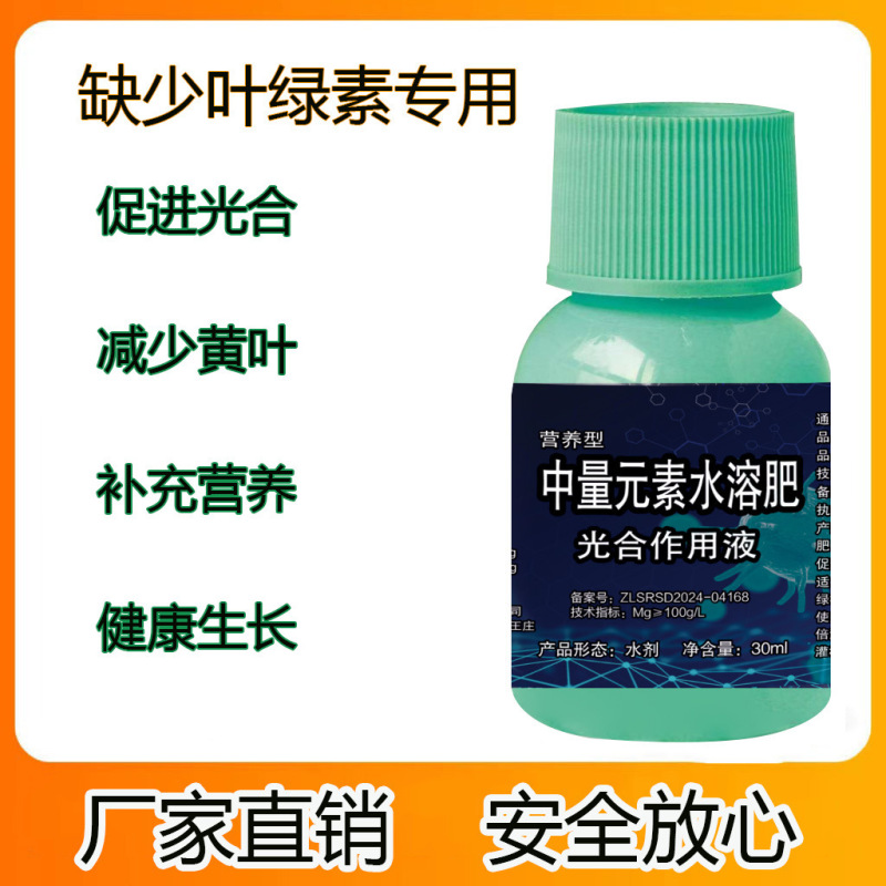 光合成液体植物一般養液葉面肥料クロロフィル黄色葉緑化光黄変修復肥料|undefined