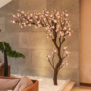 ��Ʒ�������m����÷��������҃��b���ֲ������L�b�