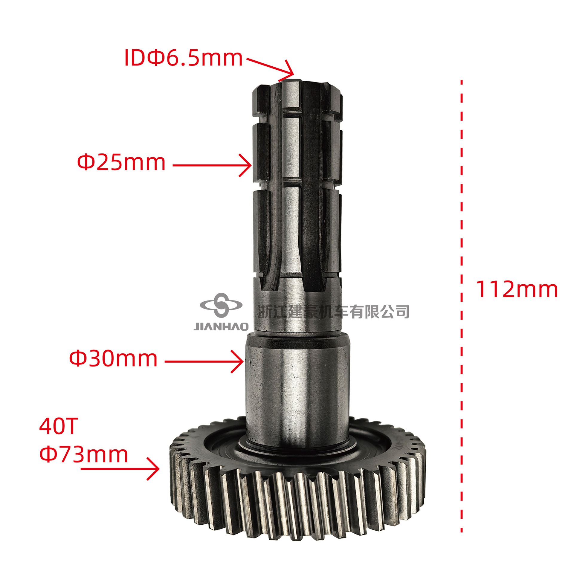 ATV go-kart engine gear output shaft and shift shaft assembly