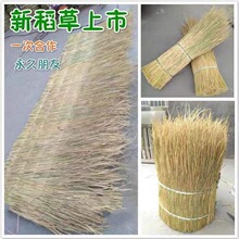 农家乐屋顶稻草装饰  稻草 稻草帘子 草垛道具干稻草制作 新稻草