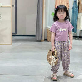 童装女童夏季时髦韩版洋气中小童2025新款印花可爱女孩套装两件套