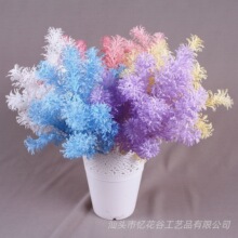 �������F���Fڡ�� �S�ҹ�����c�W�t���� ��Y�쾰���滨�����F��