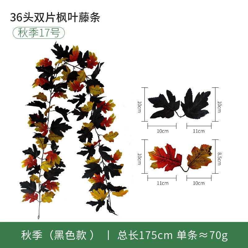 36 Maple Leaf No. 17