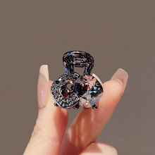 ˮС̖ץAlAǰ~Al߅^l^2024¿