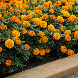 �f�۾շN���ļ��_���׻��ܽ�ػ��N���ӿ�ȸ�ݻ��N���ذ��f�۾���