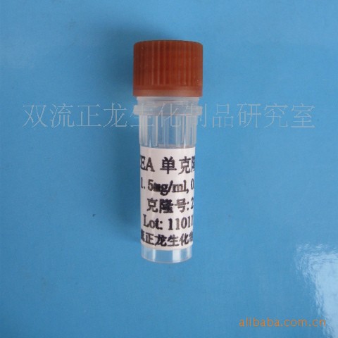 CEA单克隆抗体